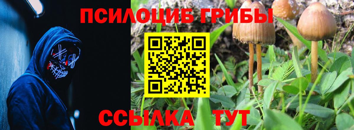 Галлюциногенные грибы мицелий Кувандык